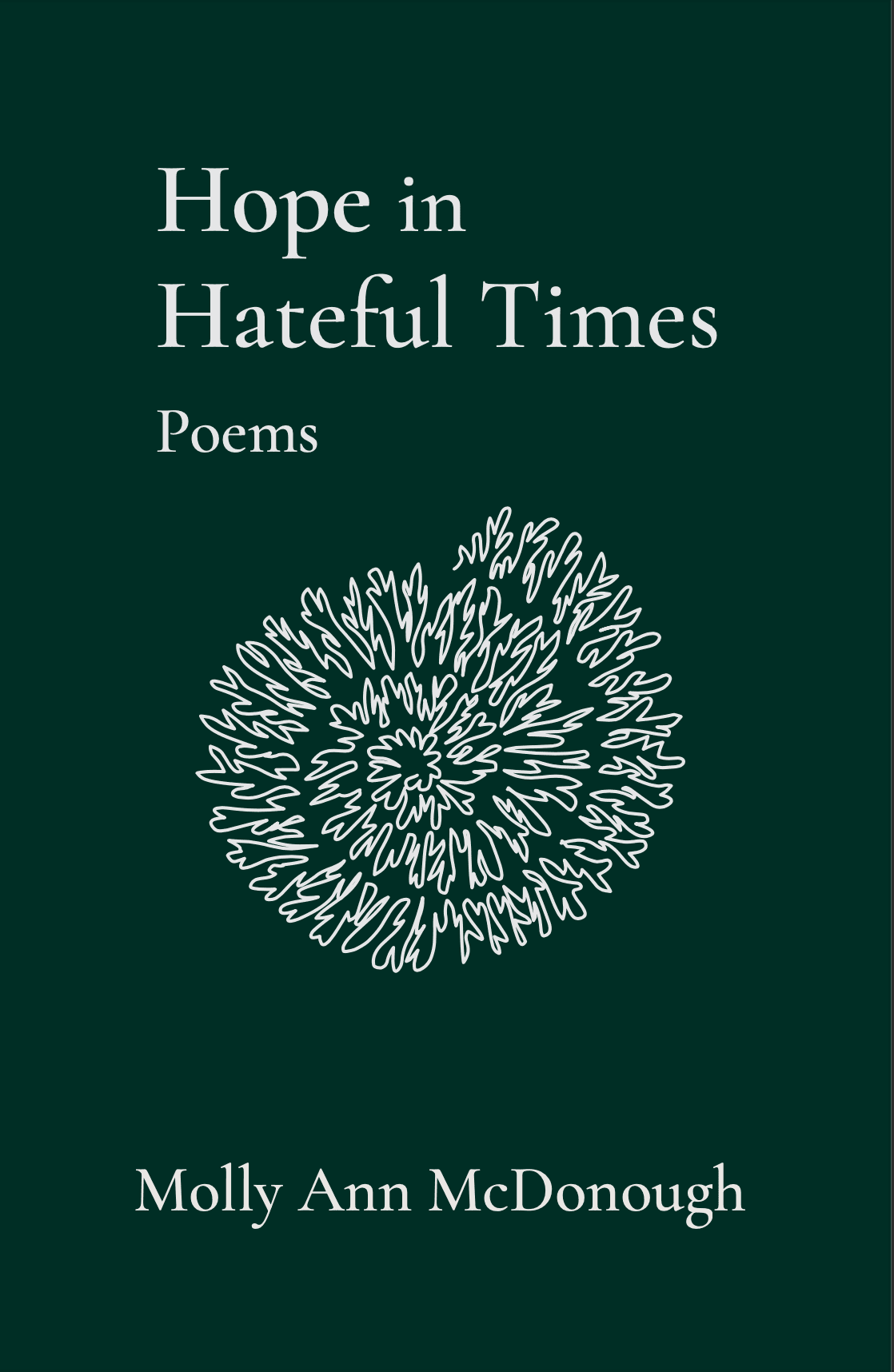 Hope in Hateful Times book cover
